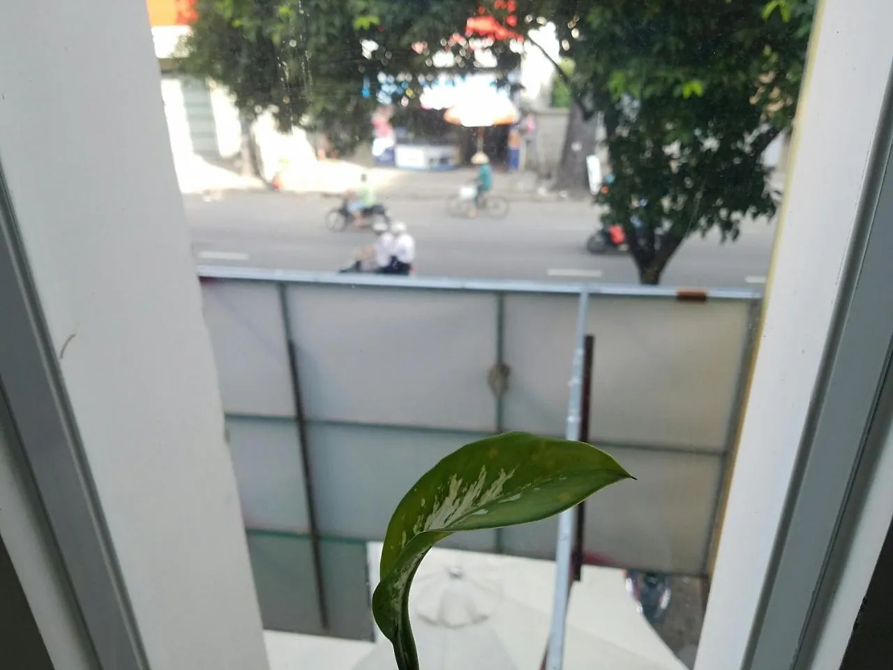 Natural House Hostel Ho Chi Minh City